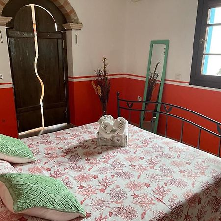 Canne Al Vento Quartu SantʼElena Buitenkant foto